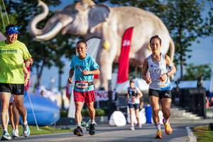 BIB: 
                            <button type="button" onclick="openModal(26541375)" class="btn btn-primary btn-sm float-right btn-popup" data-toggle="modal" data-target=".modal-high-quality">
                        <i class="fas fa-shopping-cart"></i> Add to Cart
                    </button>
                                            <button type="button" onclick="isThisMe(26541375, true)" class="btn btn-success btn-sm float-right btn-popup btn-isme hidden" data-toggle="tooltip" data-placement="bottom" title="นี่คือรูปของคุณใช่ไหม คลิกที่นี่เพื่อเอาเข้าอัลบั้ม">
                        <i class="fas fa-plus"></i> Add to album
                    </button>
                    <button type="button" onclick="isThisMe(26541375, false)" class="btn btn-warning btn-sm float-right btn-popup btn-isnotme hidden">
                        <i class="fas fa-ban"></i> Remove from album
                    </button>